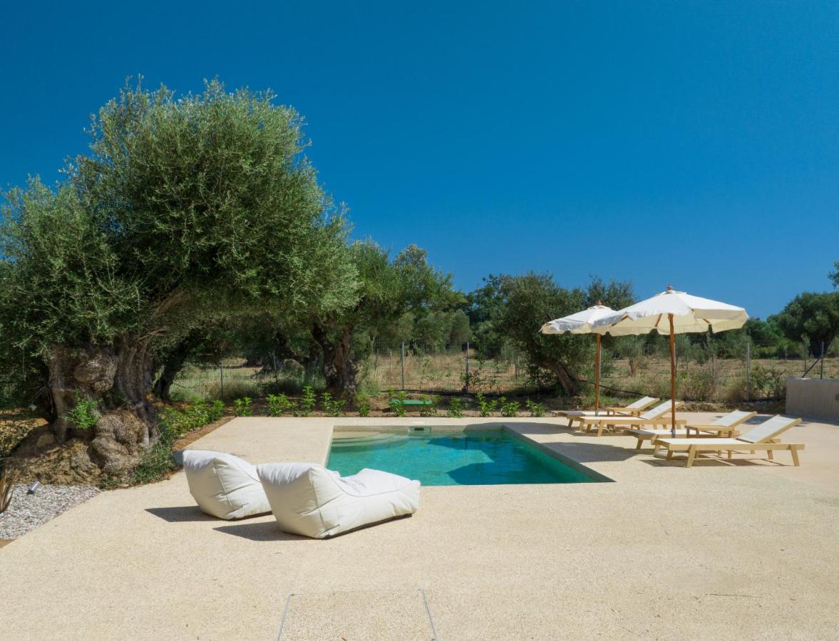 Terra Oleana Cottages Vasilikí エクステリア 写真